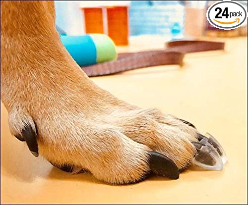 TAKTIKAL Dr. McHenry's Dog Toe Treads, Set of 24, Adhesive, Cleaning Brush, Increased Traction, Dog Mobility Support, X-Large Kit- Weight: 60-150 lbs. Net Weight 1.6 oz. | w/Adhesive & Cleaning Brush, Increased Traction & Stability on Slippery Floors, ...