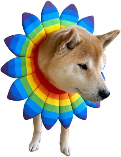 CheetahBoo Flower Rainbow Dog Flower Costume Dogs XS XXL Pride Bandana Collar Birthday Gay Halloween Costumes, M