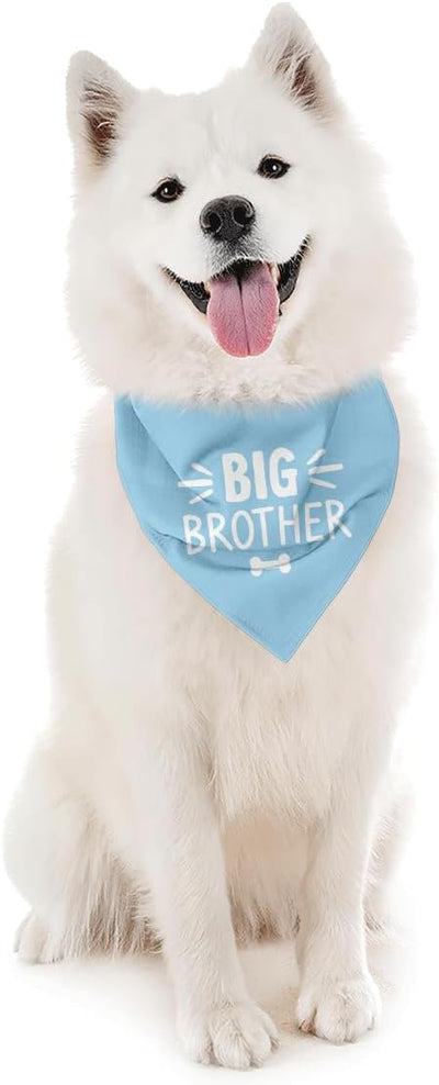 Big Brother Dog Bandana, Light Blue Pet Dog Scarf Accessories, Pregnancy Announcement Big Brother Baby Reveal, Pet Dogs Triangle Scarf, Dogs Bandana for Small Medium