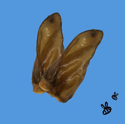 Honey I'm Home Buffalo Crunchy Ears Dog Chews, 10-Pack – All-Natural, Free-Range, Grain-Free, Honey Coated, Healthy & Crispy Treats