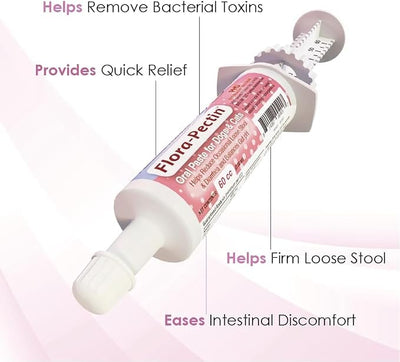 Oral Paste for Dogs & Cats-Helps Reduce Occasional Loose Stool & Diarrhea, Balance Gut pH, Support Normal Digestion & Intestinal Flora-Fast Acting (60 CC - Tasty Chicken Flavor) - 2 Pack