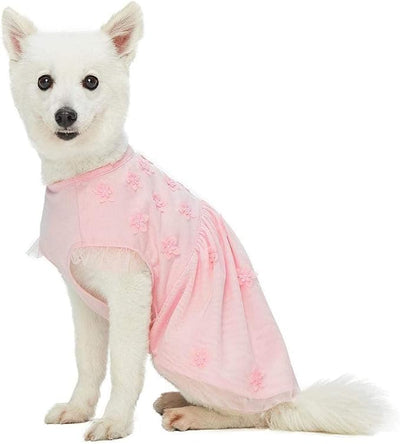 Blueberry Pet My Little Princess Dog Tulle Dress in Baby Pink with Dainty Flower, Back Length 12", Pack of 1 Clothes for Dogs