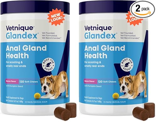Vetnique Glandex Anal Gland Soft Chew Treats with Pumpkin for Dogs Digestive Enzymes, Probiotics Fiber Supplement for Dogs Boot The Scoot (Bacon Flavor Chews, 120 Count) (Pack of 2)