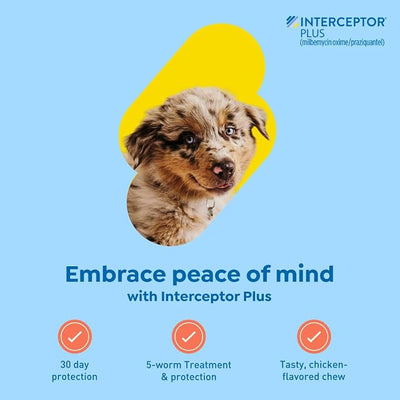 Interceptor Plus Prevention for Heartworm + 4 Other Worms for Dogs 2-8 lbs. | 12 Chews, 12-Month Supply