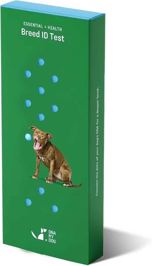 DNA MY DOG - Essential + Health Dog DNA Test Kit | 350+ Breeds Identified | 99%+ Accuracy | 105+ Health & Trait Results | Allergy Risk Score | Personality & Behavior Insights | Results in 2-3 Weeks