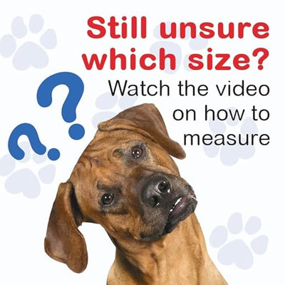 Standard Front Leg Brace for Dogs with Injuries, Arthritis, or Licking Prevention, Durable & Lightweight Post-Surgery Protection for Pets - XXS