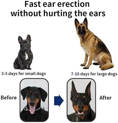Dog Ear Stand Sticker Up Support Tool, Dog Ear Fixed Correction Vertical Holder for Doberman. (1.65 * 2.95)