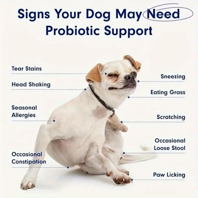 Dog Probiotics - Pet Digestive and Immune Supplement - Suitable for All Dog Breeds - Salmon Favor - 4.32 Ounces - 30 Tablets