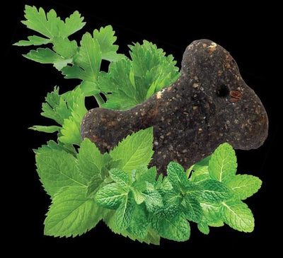 Darford Natural Charmint™ Dog Treats – Breath-Freshening Parsley, Charcoal & Peppermint – Mini Bone Shape – Oven-Baked in Canada – All Natural, Wheat-Free, No Corn or Soy – 12 lb