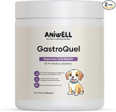 GastroQuel Dog Probiotic Chews – Gut Health, Occasional Diarrhea & Digestive Support | Probiotics for Dogs, Kaolin & Pectin | Yeast Infection Support & Anti Diarrhea for Dogs | Pack of 2