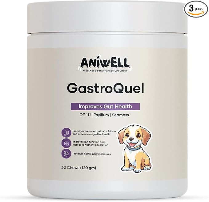 GastroQuel Dog Probiotic Chews – Gut Health, Occasional Diarrhea & Digestive Support | Probiotics for Dogs, Kaolin & Pectin | Yeast Infection Support & Anti Diarrhea for Dogs | Pack of 3