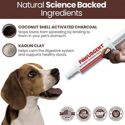 PawUrgent Activated Charcoal Gel for Dogs Poisoning,(2 Pack) 30cc Dog First Aid Activated Charcoal, Animal Use Only, Premium Pet Support for Pet Owners (2 Pack)