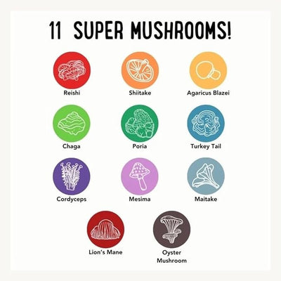 iHeartDogs Hemp Mushroom Chews - Mobility, Calming, Allergy, Lumps, Bumps, Lipomas & Immune Support - Mushroom Blend w/Turkey Tail, Lion’s Mane & Green Lipped Mussels - 60 Ct 600mg Hemp