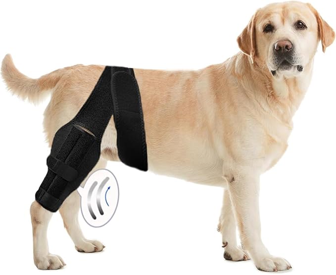 S Dog Leg Braces for Back Leg for Support with Cruciate Ligament Injury-Better Recovery with Dog Knee Brace for Torn Acl Hind Leg-Adjustable Hip Dysplasia Dog Acl Brace Hind Leg Rear