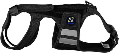 Coodeo Dog Back Brace for Dogs Arthritis, Pet Back Bracer for IVDD, Back Protector Helps Pain Relief, Surgical Recovery and Rehabilitation, Dogs Back Disease Prevention. (Black,Medium)