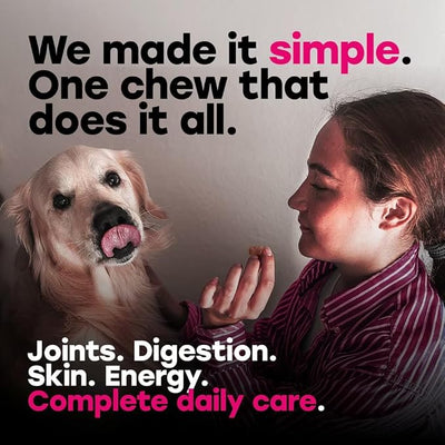 24-in-1 Dog Multivitamin Chews – Dog Vitamins and Supplements with Glucosamine, Chondroitin, Probiotics, Salmon Oil, Biotin – Daily Mobility, Digestion, Skin and Coat Support, Beef Flavor