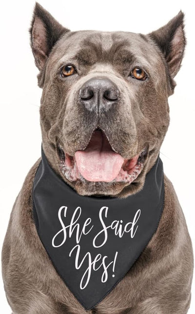 She Said Yes! Dog Bandana | 100% Cotton Triangle | Made in USA | Wedding Photo Prop | Bridal Shower | Engagement Announcement | Baby Pink, X-Small (332)