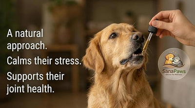 Calm USDA Certified Organic Pet Hemp Oil, 600mg Formula for Dogs & Cats, Premium Daily Wellness Support, 30ml Bottle (Presicion Dropper Included)