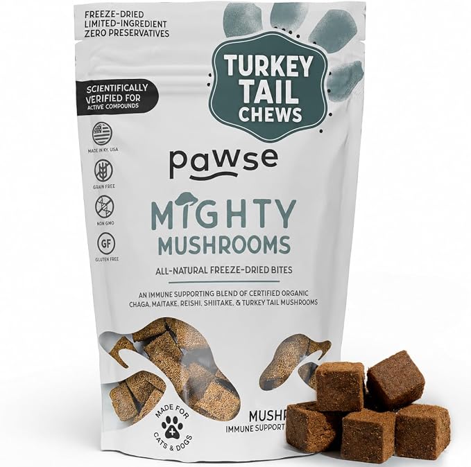Pawse Mighty Mushroom Chews Supplement for Dogs & Cats | Blend of Turkey Tail, Reishi, Chaga, Maitake & Shiitake | for Immune System, Lumps & Bumps, Gut Health & Skin Support | 60 Chews