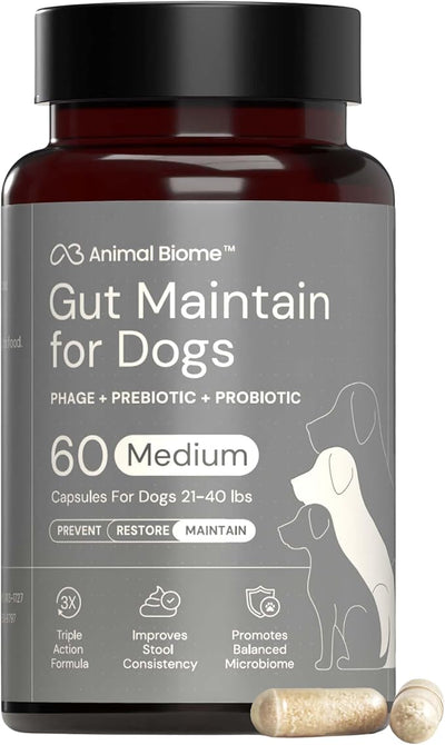 Animal Biome Probiotics for Dogs with S Boulardii, Gut Maintain (60 Capsules) – Triple-Action Medium Dog Probiotics, Prebiotics & Phage Supplements for Gut Health, Firmer Stool & Diarrhea Support
