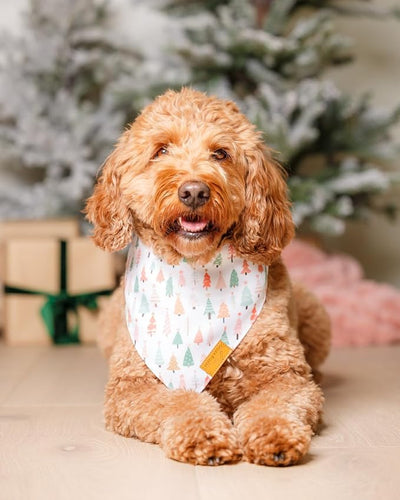 Remy+Roo Dog Bandanas - 2 Pack | Wonderland Christmas Dog Bandanas Set | Premium Durable Fabric | Patented Shape Bandanas for Dogs (Wonderland, Small)