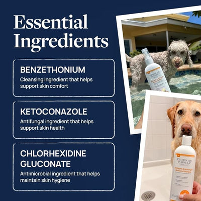 Veterinary Formula Clinical Care Antiseptic and Antifungal Medicated Spray for Dogs & Cats, 8 Fl Oz (1 Pack)