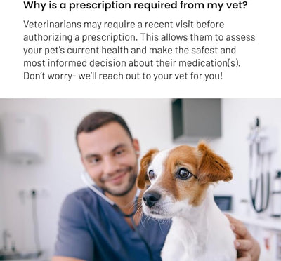 NOVOX® (CARPROFEN Tablets) CAPLETS 100MG 30 CT