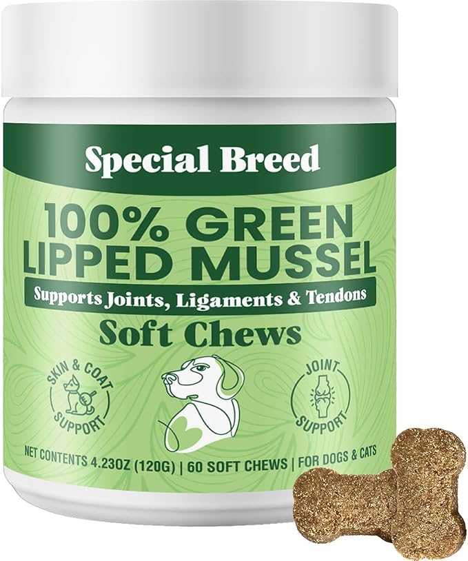 Green Lipped Mussel for Dogs & Cats - 60 Soft Chews - New Zealand Green Lipped Mussels - Natural Hip & Joint Supplement for Joints, Tendons, Ligaments, Muscles