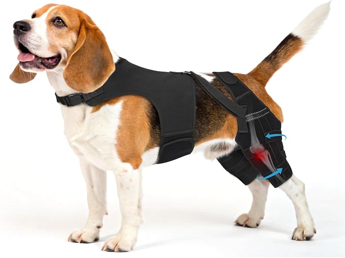 Dog Knee Brace for Torn ACL Hind Leg– Dog Leg Brace with Metal Stabilizers for Dogs with Torn ACL, Luxating Patella, Ligament Injuries & Hip Dysplasia, Limping or Osteoarthritis Recovery,M-2