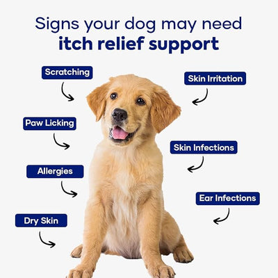 Itch Relief Chews for Dogs – Anti Itch Dog Allergy Relief | Borage Oil, Omega 3, Vitamin E | Dog Itching Skin Relief, Hot Spot Treatment, Seasonal Allergy Supplement | Soft Chews