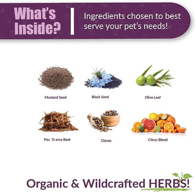 Amber NaturalZ Vibactra Immune Support Herbal Supplement for Dogs, Cats, Birds, Guinea Pigs, and Rabbits | Pet Herbal Blend for Overall Health | 1 Fluid Ounce Glass Bottle | Manufactured in the USA