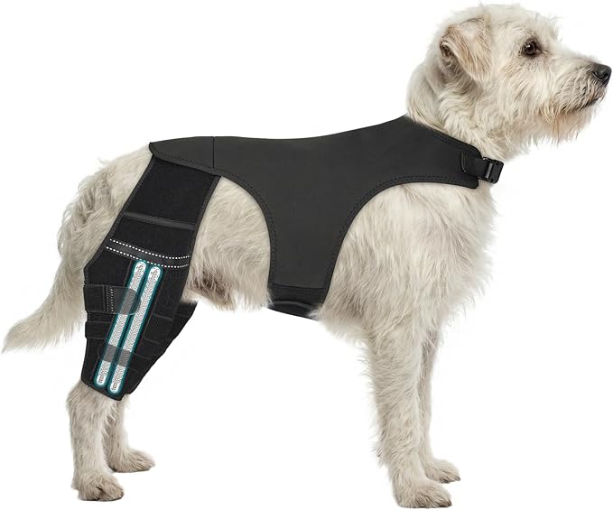 Adjustable Dog Knee Brace for ACL Tear and Arthritis Recovery - Dual Hind Leg Support with Harness Connection - Orthopedic Leg Brace for Joint Stability and Pain Relief in Dog (X-Small)