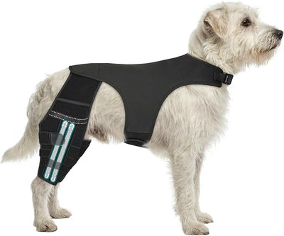 Adjustable Dog Knee Brace for ACL Tear and Arthritis Recovery - Dual Hind Leg Support with Harness Connection - Orthopedic Leg Brace for Joint Stability and Pain Relief in Dog (Small)