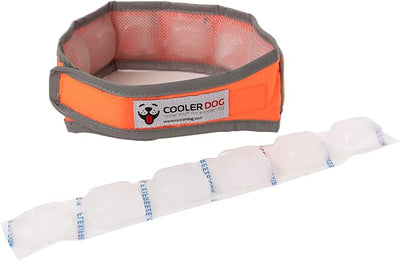 CoolerDog Hi-Vis Cooling Dog Collar for Medium Dogs – Reflective Re-Freezable Ice Collar for Hot Weather & Heat Relief (Orange, Medium)