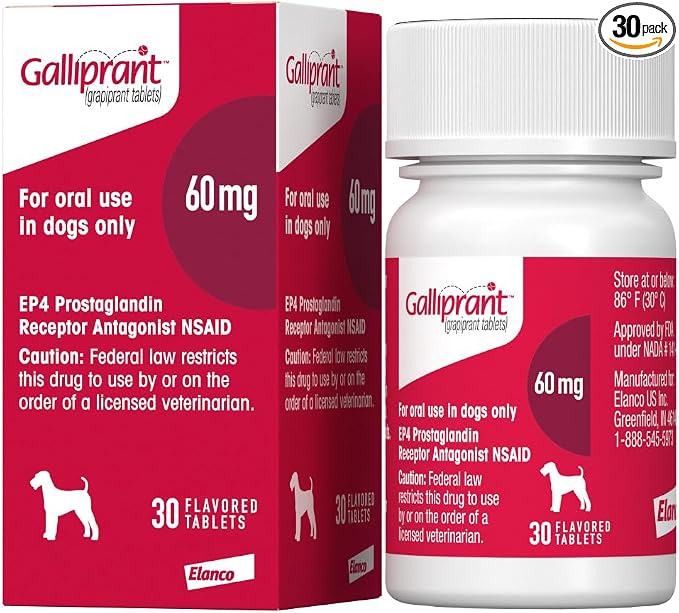 Galliprant Osteoarthritis Pain & Inflammation Control for Dogs | 60mg | 30 Flavored Tablets
