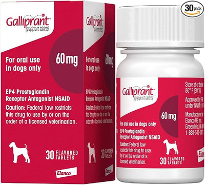 Galliprant Osteoarthritis Pain & Inflammation Control for Dogs | 60mg | 30 Flavored Tablets
