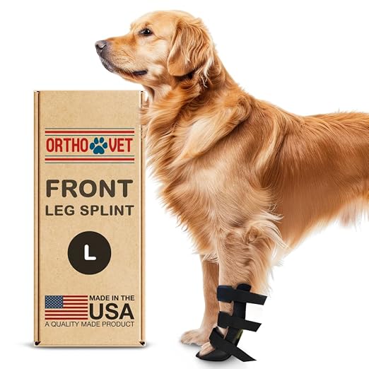 Standard Front Leg Brace for Dogs with Injuries, Arthritis, or Licking Prevention, Durable & Lightweight Post-Surgery Protection for Pets - L