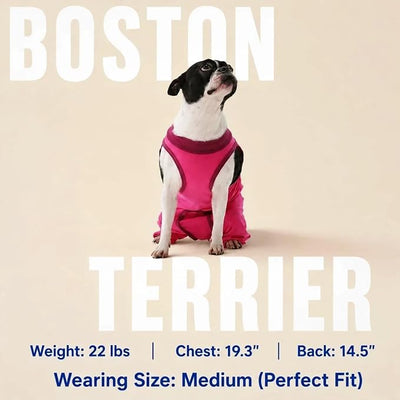 Dog Surgery Recovery Suit with Rear Leg Sleeve to Stop Licking, Breathable Surgical Body Suit, Soft Pants for Wound Protection, Cuttable Neuter/Spay Onesie for Puppy Male Female, Rose-Red XS