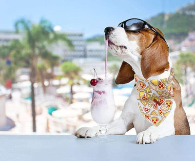 Unique Style Paws Dog Bandanas 1PC Washable Cotton Triangle Dog Scarfs for Small Medium Large Dogs and Cats-NewHLG-L