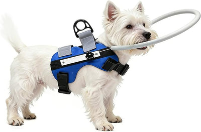 Ring Harness for Blind Dog, Lightweight Blind Ring for Pets, Blind Dog Bumper, Bump Guard for Blind Dogs Upgrade Blue Small