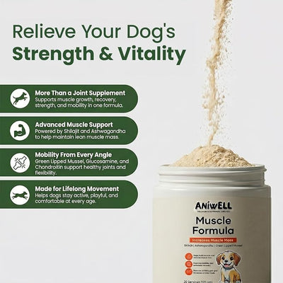 Muscle Formula for Dogs – Glucosamine Chondroitin, Green Lipped Mussel | Shilajit, Ashwagandha | Hip and Joint Supplement for Dogs Muscle Strength & Mobility | Dog Joint Supplement | Pack of 3