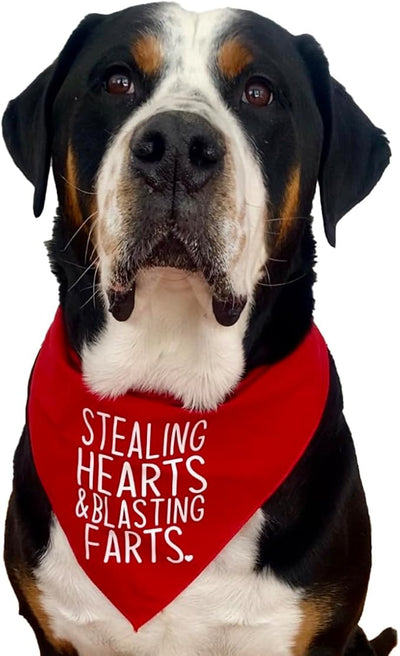 Stealing Hearts Blasting Farts Dog Bandana | 100% Cotton Adjustable Triangle | Made in USA | Valentine's Day | Cute & Funny |Baby Pink, X-Small (983)