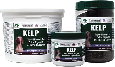 Dogzymes Organic Norwegian Kelp for Pets, a Valuable Nutrition Source Rich in Iodine to Support Gland Function, Especially The Thyroid (3 Pound)