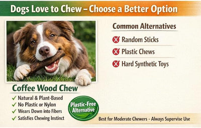 Coffee Wood Dog Chew - Natural Stick for Moderate Chewers, Safe Alternative to Nylon & Plastic, Medium