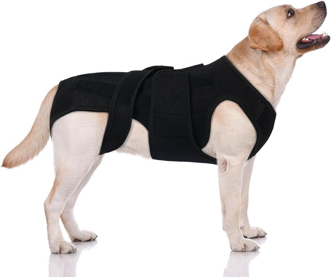 Dog Spine Support Brace for Large Breeds - Heavy Duty Back Support Brace with 5 Reinforced Rods, Adjustable for Joint Support or Post-Surgery Needs, Black XL