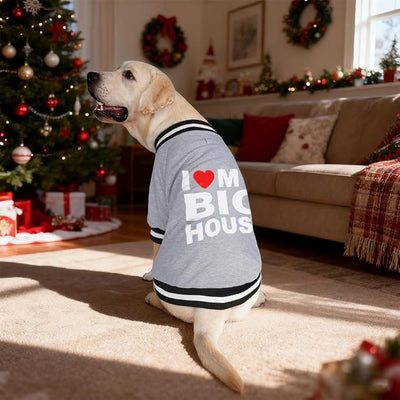 Cute Dog Sweater - Stretchy Dog Pullover Sweatshirt,Soft and Warm Winter Clothes for Boy & Girl Dogs,Suitable for Puppies & Adult Dogs (Light Grey (House), Large/X-Large)