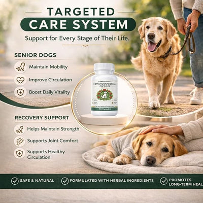 Yunnan Sanqi Capsules for Dogs - Pure Herbal Quick Stop Bleeding & Blood Support for Hemangiosarcoma, Hemoabdomen, Pericardial Effusion, Severe Bruising, Ulcer-Related Bleeding, 90 Capsules