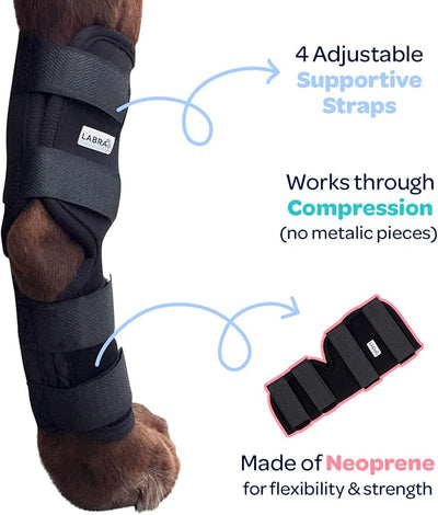 Labra Dog Rear Leg Hock Joint Compression Wrap - Supportive Brace for Weak Back Legs, ACL Tear, and Joint Discomfort - Adjustable Hind Leg Support for Senior Dogs - Medium