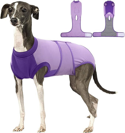 Kuoser Recovery Suit for Dogs After Surgery, Soft Dog Surgery Suit Female Male, Breathable Pet Surgical Recovery Shirt, Anti Licking Dog Onesie for Abdominal Wounds Cone Alternatives, Purple L