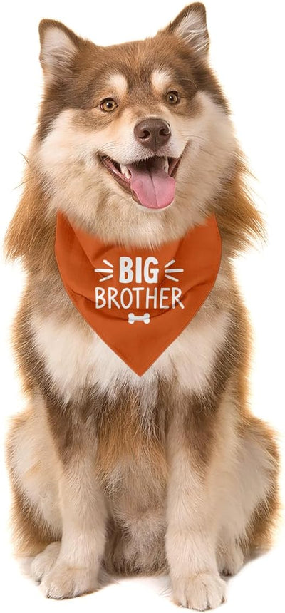 Big Brother Dog Bandana, Orange Pet Dog Scarf Accessories, Pregnancy Announcement Big Brother Baby Reveal, Pet Dogs Triangle Scarf, Dogs Bandana for Small Medium